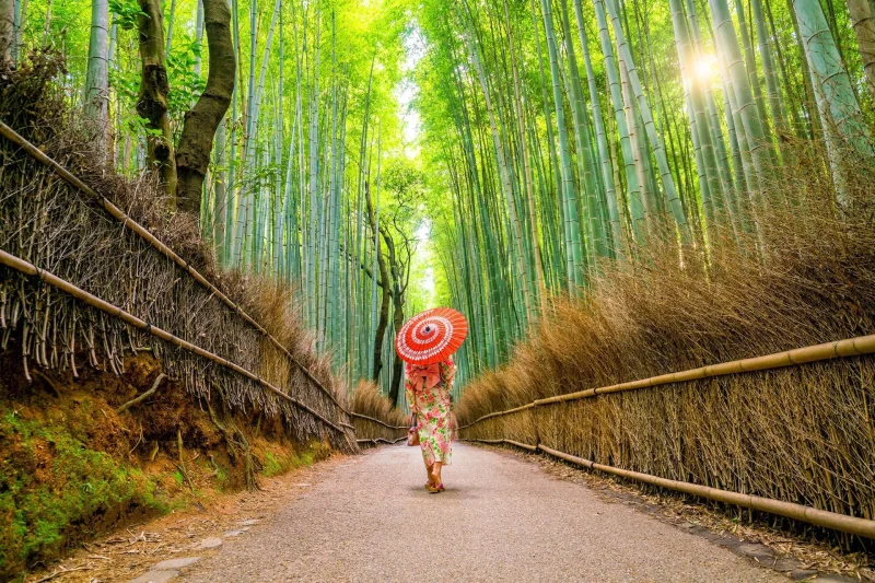 Geysha Japan Photo Tour - workshopsphototours.com